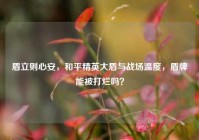 盾立则心安，和平精英大盾与战场温度，盾牌能被打烂吗？