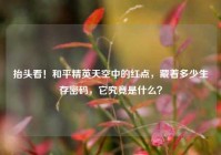 抬头看！和平精英天空中的红点，藏着多少生存密码，它究竟是什么？