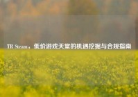 TR Steam，低价游戏天堂的机遇挖掘与合规指南