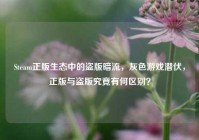 Steam正版生态中的盗版暗流，灰色游戏潜伏，正版与盗版究竟有何区别？