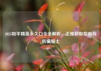 2025和平精英永久口令全解析，正规获取指南与防骗贴士