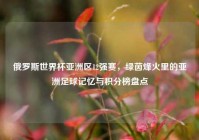 俄罗斯世界杯亚洲区12强赛，绿茵烽火里的亚洲足球记忆与积分榜盘点
