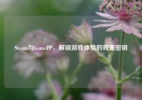 Steam与GamePP，解锁游戏体验的双重密钥
