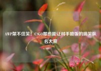 AWP架不住笑！CSGO那些能让对手喷饭的搞笑队名大赏