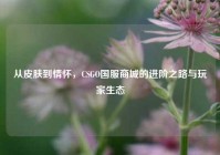 从皮肤到情怀，CSGO国服商城的进阶之路与玩家生态