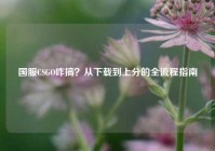国服CSGO咋搞？从下载到上分的全流程指南