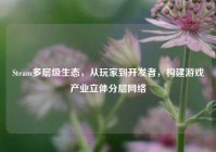 Steam多层级生态，从玩家到开发者，构建游戏产业立体分层网络