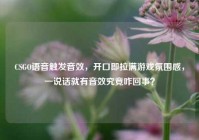 CSGO语音触发音效，开口即拉满游戏氛围感，一说话就有音效究竟咋回事？