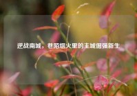 逆战南城，巷陌烟火里的主城倔强新生