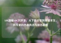 LOL国服ADC沉浮录，从下路主宰到夹缝求生，兵线里的热血执念与排名解析