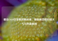 藏在CSGO日常里的素材库，那些被忽略的烟火气与热血瞬间