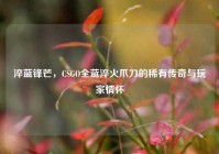 淬蓝锋芒，CSGO全蓝淬火爪刀的稀有传奇与玩家情怀