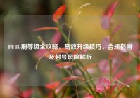 PUBG刷等级全攻略，高效升级技巧、合规指南及封号风险解析