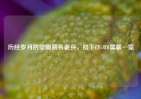 历经岁月的坚固商务老兵，松下CF-W8屏幕一览