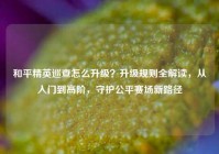 和平精英巡查怎么升级？升级规则全解读，从入门到高阶，守护公平赛场新路径