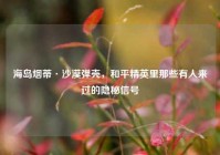 海岛烟蒂·沙漠弹壳，和平精英里那些有人来过的隐秘信号