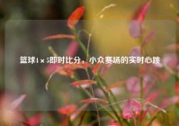 篮球4×5即时比分，小众赛场的实时心跳