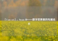 「I am cat」，Steam ID——数字世界里的专属名片
