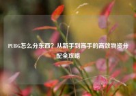 PUBG怎么分东西？从新手到高手的高效物资分配全攻略