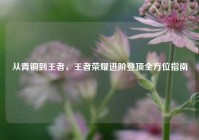 从青铜到王者，王者荣耀进阶登顶全方位指南