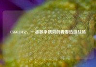 CSGO13152，一串数字镌刻的青春热血战场