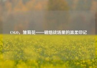 CSGO，雏菊花——硝烟战场里的温柔印记