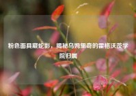 粉色面具藏蛇影，揭秘乌姆里奇的霍格沃茨学院归属