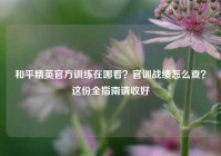 和平精英官方训练在哪看？官训战绩怎么查？这份全指南请收好