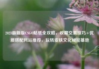 2023最新版CSGO贴纸全攻略，收藏交易技巧+优质搭配网站推荐，玩转皮肤文化秘密基地