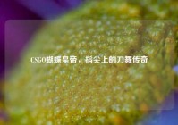 CSGO蝴蝶皇帝，指尖上的刀舞传奇