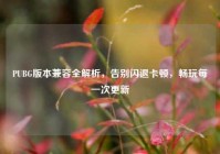 PUBG版本兼容全解析，告别闪退卡顿，畅玩每一次更新