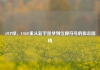 AWP绿，CSGO里从新手噩梦到信仰符号的狙击图腾