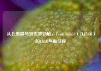 从北美黑马到世界劲旅，Team Liquid（TLCSGO）的CSGO热血征程