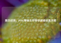 黑白战场，PUBG硬核生存美学滤镜设置攻略