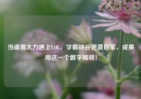 当诸葛大力遇上LOL，学霸峡谷逆袭日常，成果用这一个数字揭晓！
