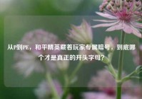 从P到PE，和平精英藏着玩家专属暗号，到底哪个才是真正的开头字母？