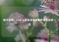 枪火传奇，CSGO AK家族全维度解析及全皮肤一览
