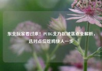 东北玩家看过来！PUBG北方区域落点全解析，选对点位吃鸡快人一步