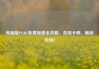 电脑版PUBG免费加速全攻略，告别卡顿，畅快吃鸡！