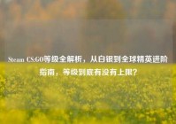 Steam CS:GO等级全解析，从白银到全球精英进阶指南，等级到底有没有上限？