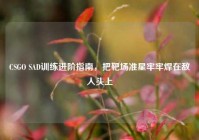 CSGO SAD训练进阶指南，把靶场准星牢牢焊在敌人头上