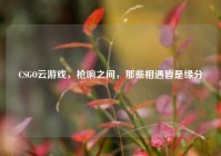 CSGO云游戏，枪响之间，那些相遇皆是缘分