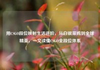 用CSGO段位映射生活进阶，从白银菜鸡到全球精英，一文读懂CSGO全段位体系