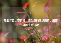 热血辽篮比赛直播，镜头里的赛场激情，屏幕外的全民狂欢