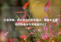 王者荣耀，峡谷飘扬的紫色旗子，那面永不褪色的热血暗号究竟是什么？