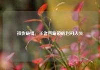 孤影破镜，王者荣耀镜的利刃人生