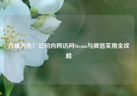 合规为先！公司内网访问Steam与微信实用全攻略