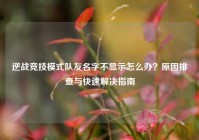 逆战竞技模式队友名字不显示怎么办？原因排查与快速解决指南