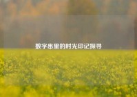 数字串里的时光印记探寻