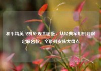和平精英飞机外观全图鉴，从经典军用机到限定联名款，全系列皮肤大盘点